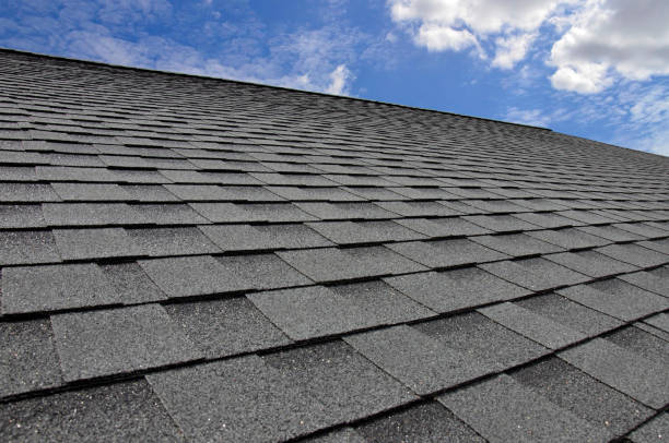 Professional Roofing Service in Lakewood, CO