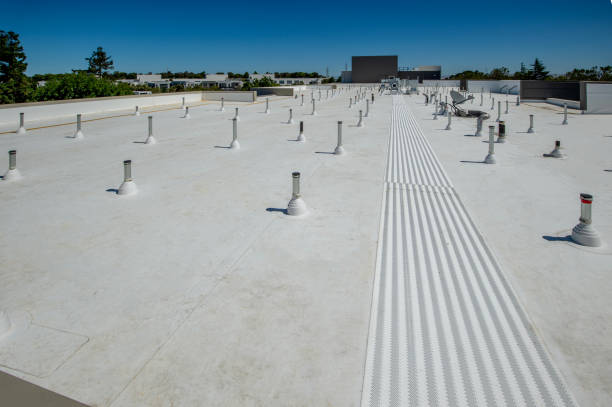 Best Roof Insulation Installation  in Lakewood, CO